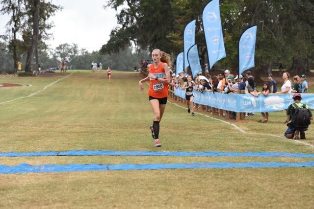 Visit Tallahassee tweet media