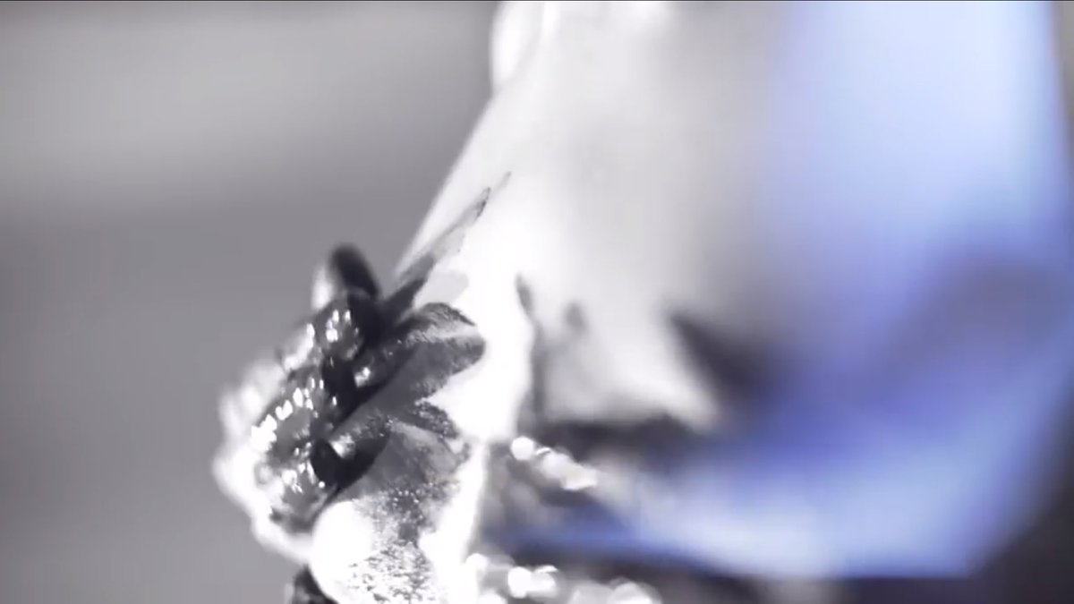 Esta noche en MURCIA‼️ Sala Garaje beatclub) 

✔️🕑2:10 Concierto ESPECIAL y grabación de un nuevo VIDEOCLIP