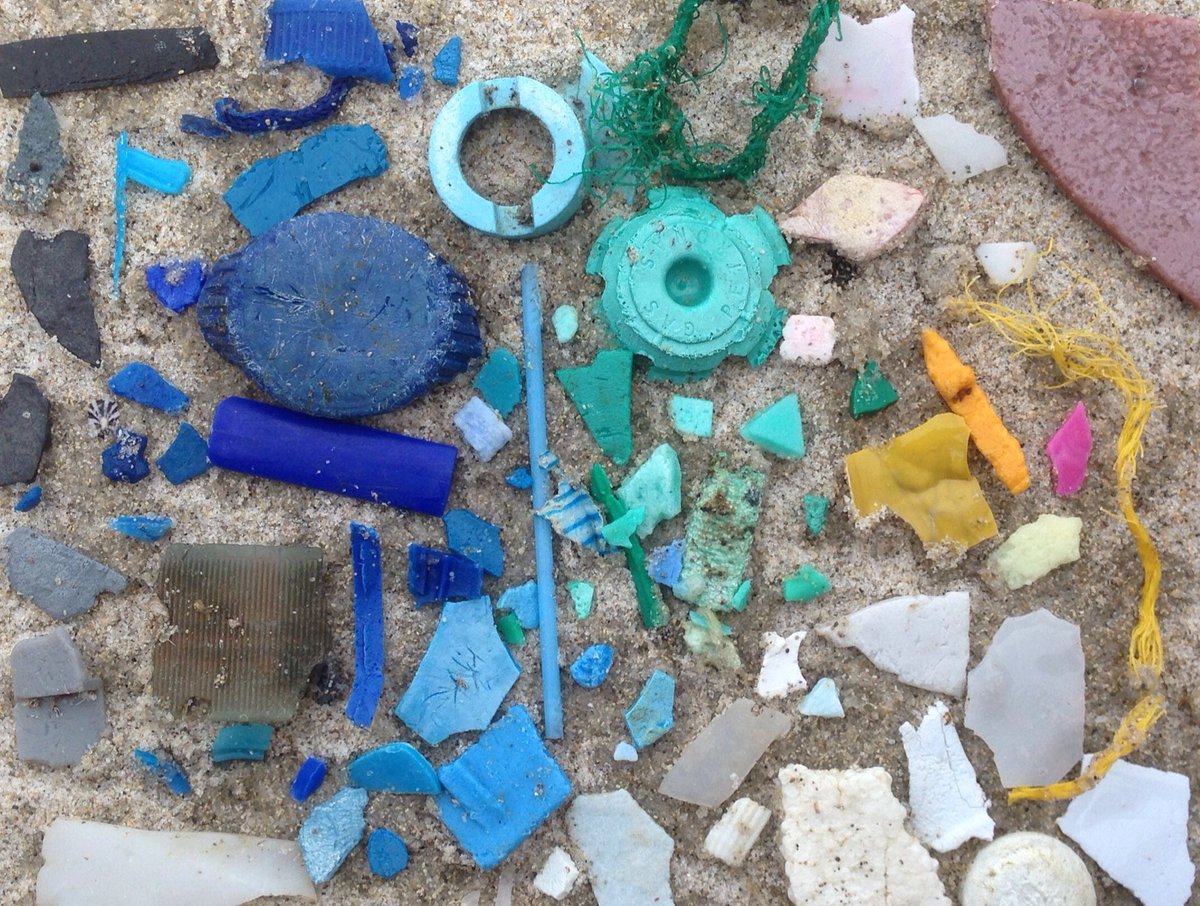 PlasticFreeJuly's tweet image. Plastics break "up" into smaller fragments which can be ingested by wildlife. Picking it up is important, preventing it is vital.