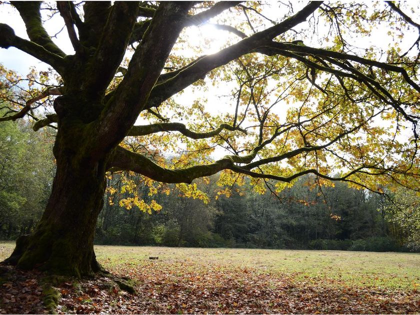 Best BC Insurance tweet media