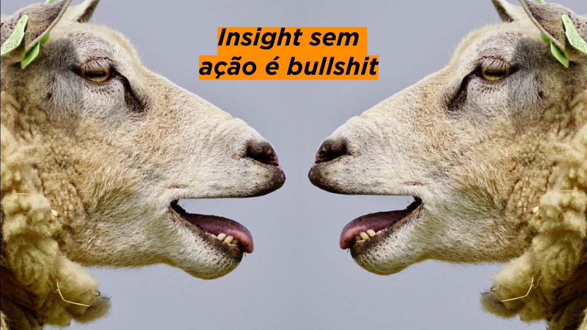 Dani_Rodrigues's tweet photo. Insight em real time sem ação é bullshit #plugnoar https://t.co/azrdEuFzqU