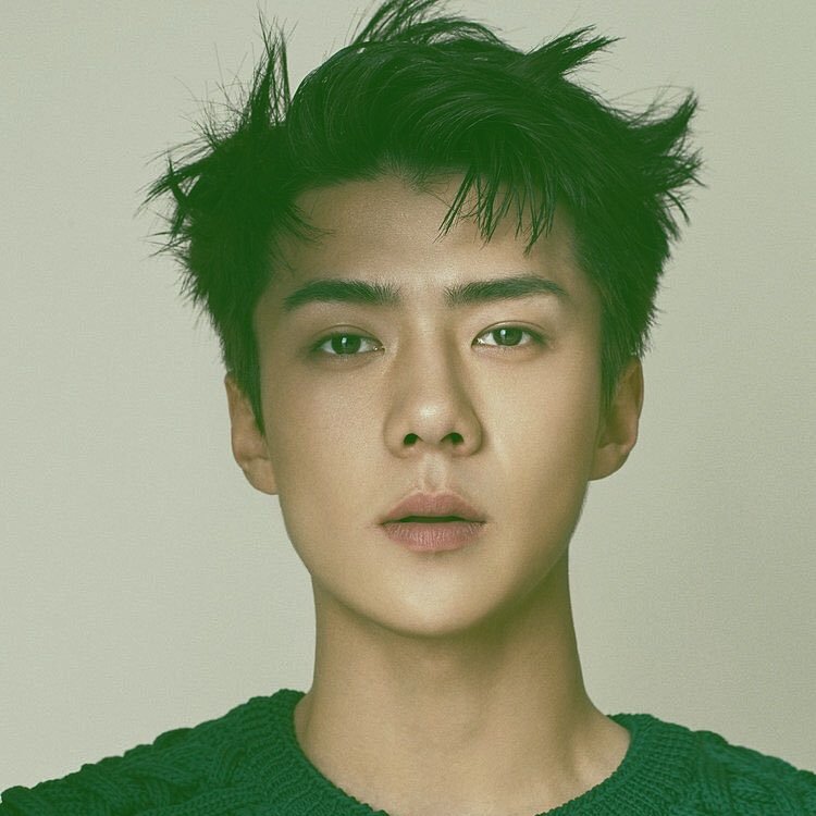 sehunsuwu's tweet photo. #EXOLSelcaDay #EXOL #EXO #SEHUN
✨: ➳ the sweetest lie's in the
                      world baby. https://t.co/aUYEngKjFg