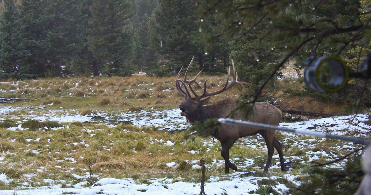 brantleygilbert's tweet photo. Big thanks to my buddy Lee for takin me on the elk hunt of a lifetime! Y’all check out “The Crush” with Lee and Tiffany on @thecrushtv.... https://t.co/5N71IUMqC0