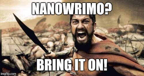 Image result for nanowrimo memes