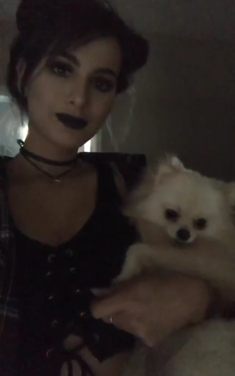 Sssniperfoxz on Twitter "When ssniperwolf trying to be emo cute💞 