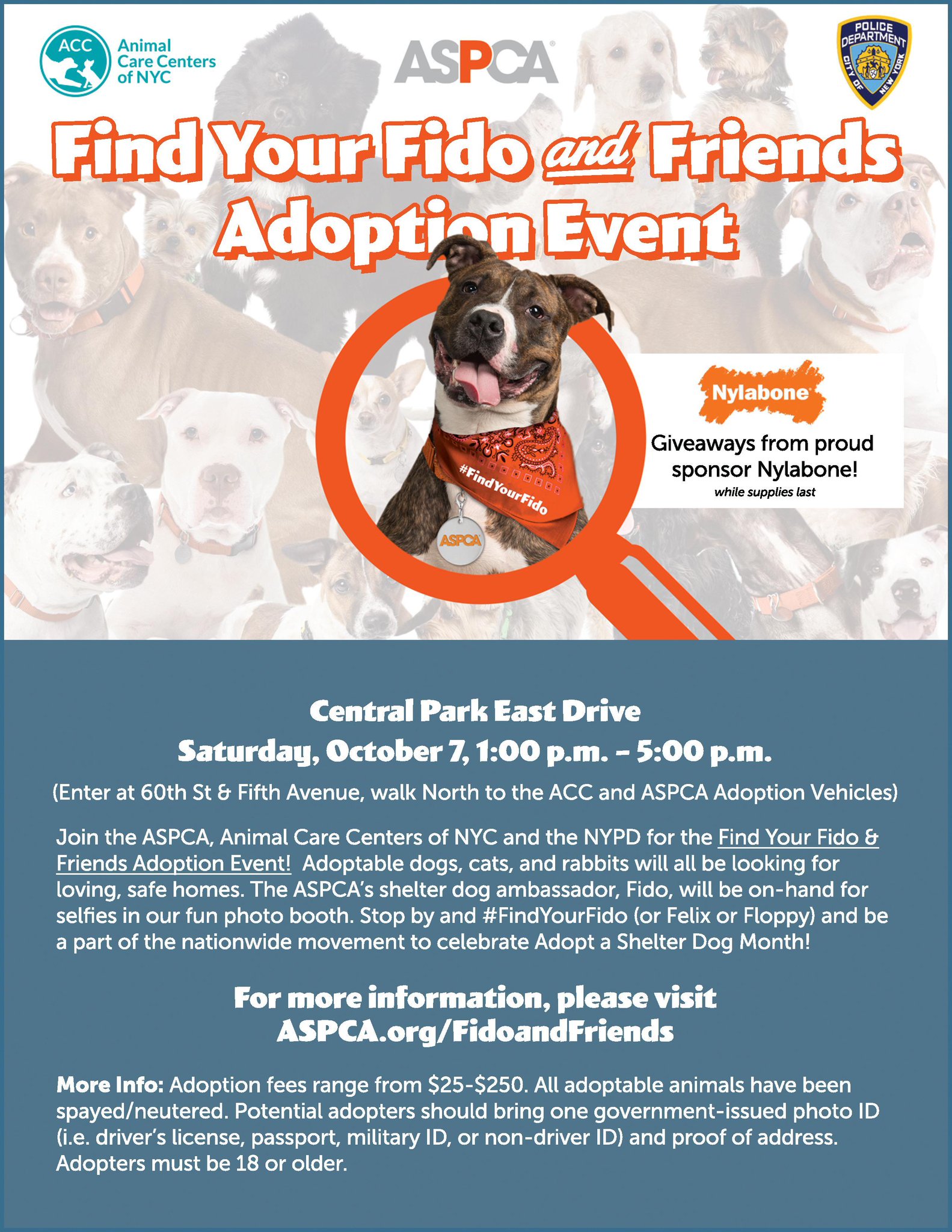 Aspca Nyc Join Us Today 1pm In Centralpark For A Special Findyourfido Adoption Event With Nycacc Nypdpaws Info T Co Scjjekid T Co P9hmfsadqg