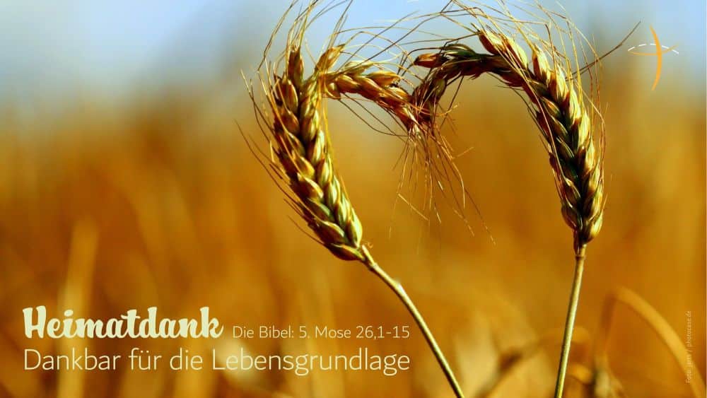 FeGMainTaunus's tweet photo. Heimatdank: Erntedank-GottesdienstHerzliche Einladung #FeGMT https://t.co/sEi9IdBXOv https://t.co/Sp9YFnXVtx