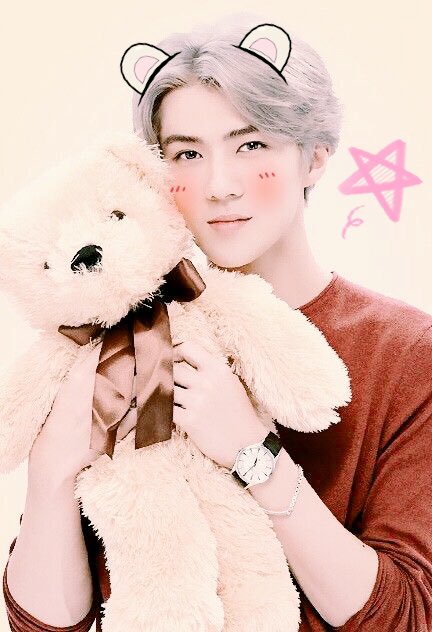 softoshbot's tweet image. ↳ #오세훈 ♡₊˚. #엑소 ࿐ྂ♡