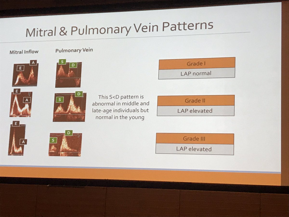 rooshaparikh's tweet photo. Diastolic function finally made easy by Dr.Saric #ECHONY2017 #ACCFIT #cardioed @danilov_tatyana @patelapurva @becky_naoulou @HeartToProve https://t.co/0cBA9EKPD9