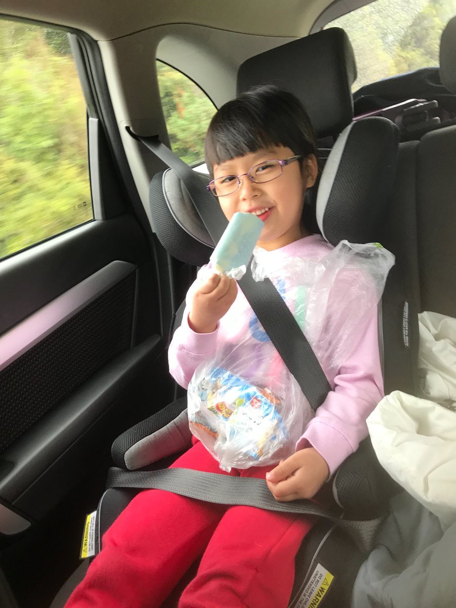 This girl (with her innovative rubbish bag) happily met the target of one ice cream per day in NZ <a href="/Pete_Karam/">Peter Karam</a>