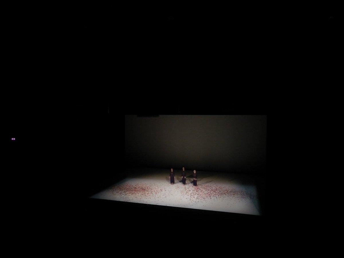 hahparis's tweet photo. Intriguing fragment from #lovegun by @itamarserussi for @ScapinoBallet @Dansdagen #dutchdance #maastricht #ndd2017 https://t.co/XwKMB3Ekkp