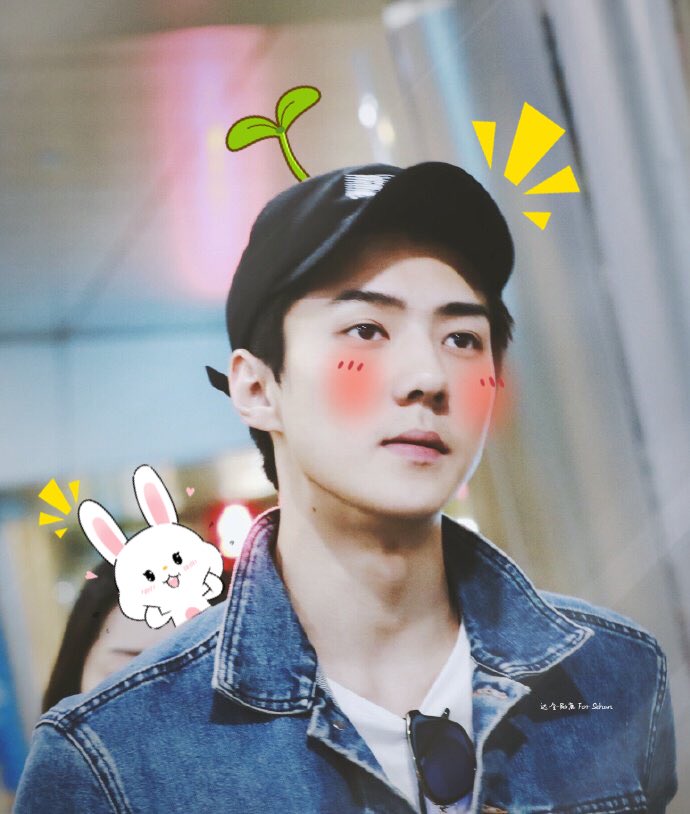 softoshbot's tweet image. ↳ #오세훈 ♡₊˚. #엑소 ࿐ྂ♡