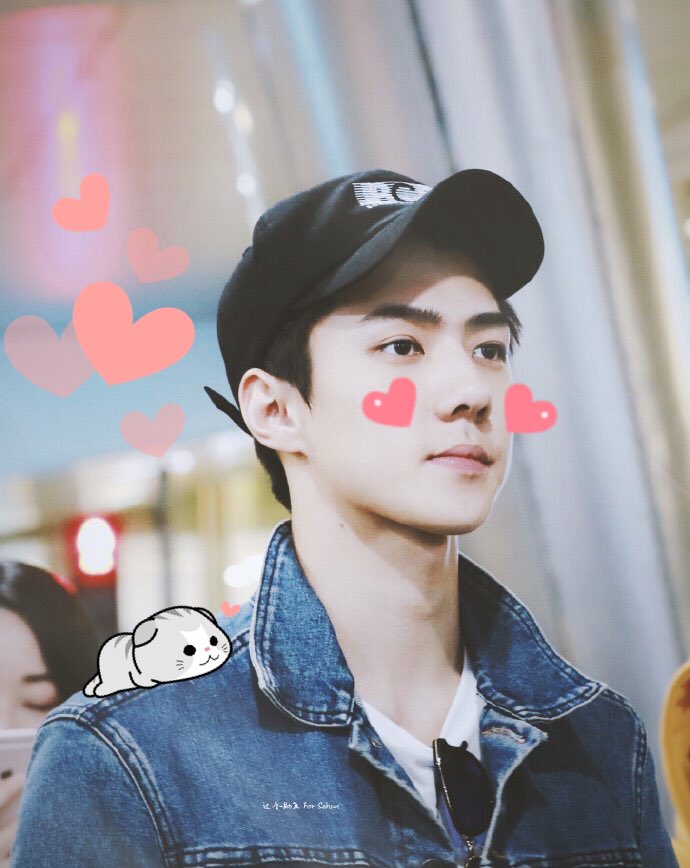 softoshbot's tweet image. ↳ #오세훈 ♡₊˚. #엑소 ࿐ྂ♡