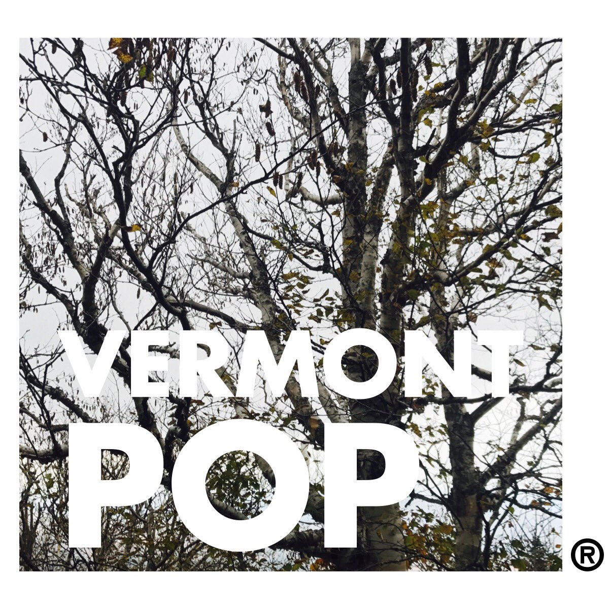 Vermont POP™ tweet media