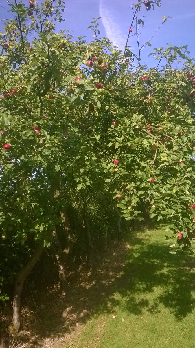 Dit jaar bestaat Museumtuin 't Olde Ras 25 jaar, vier het met ons mee op 11 en 12 november! Tweet 't voort............