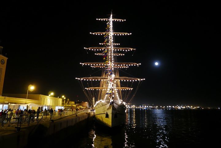 VisitSetubal tweet media