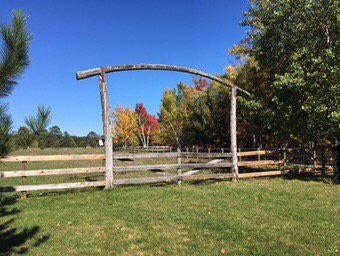 MissingLink1963's tweet photo. Camp Olson YMCA splendor #fallbeauty https://t.co/LURLxLuCOm