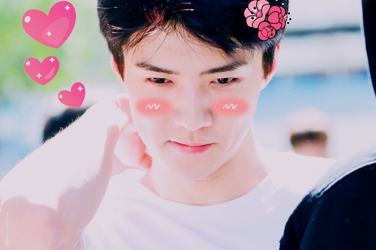 softoshbot's tweet image. ↳ #오세훈 ♡₊˚. #엑소 ࿐ྂ♡