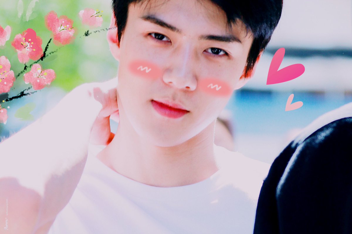 softoshbot's tweet image. ↳ #오세훈 ♡₊˚. #엑소 ࿐ྂ♡