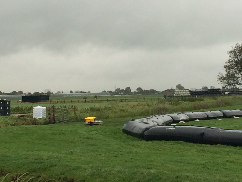 Michiel Buma tweet media