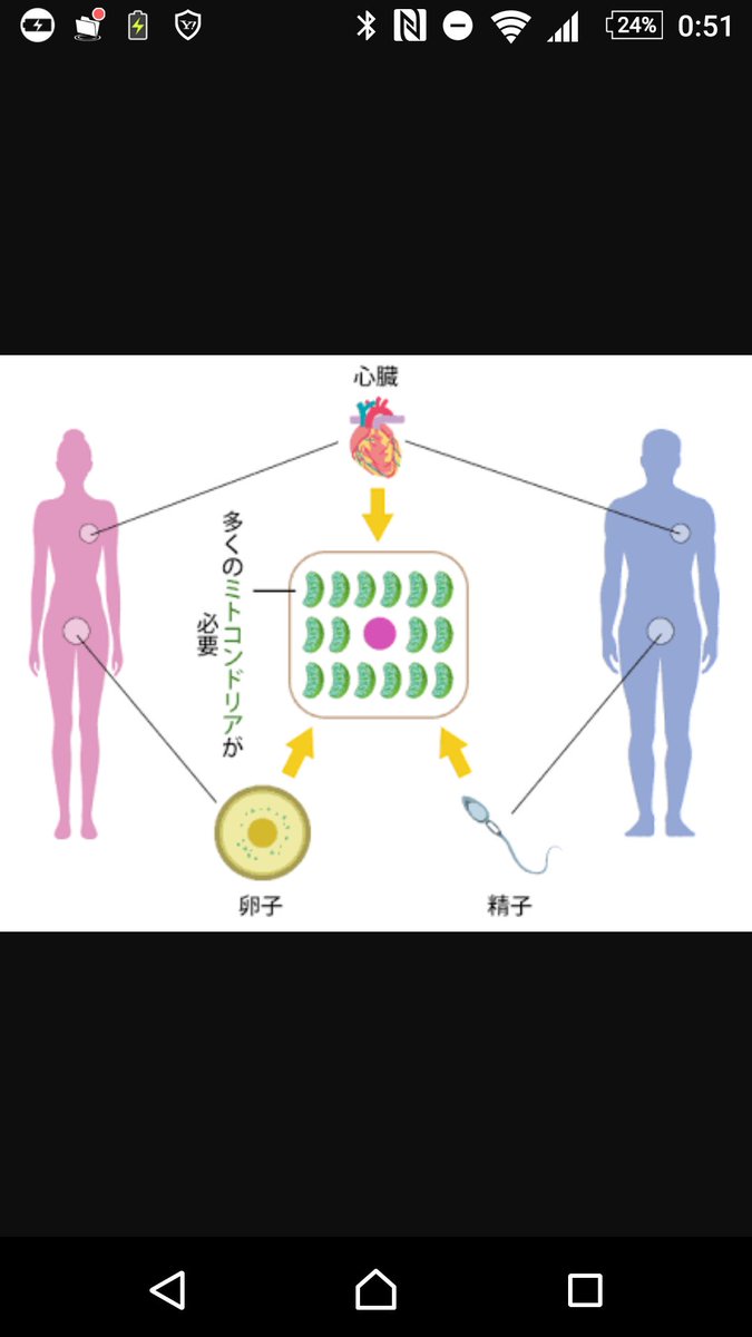 35iga's tweet photo. 参考になりますし勉強だと思います。

既婚者での受精卵から出産。

https://t.co/evpCTVaNj4 https://t.co/ZmxPBe6hx2
