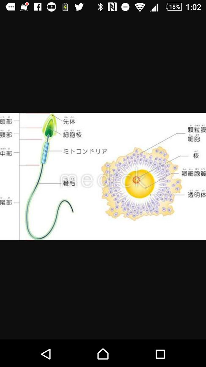 参考になりますし勉強だと思います。

既婚者での受精卵から出産。

m.youtube.com/watch?v=xptl6S…