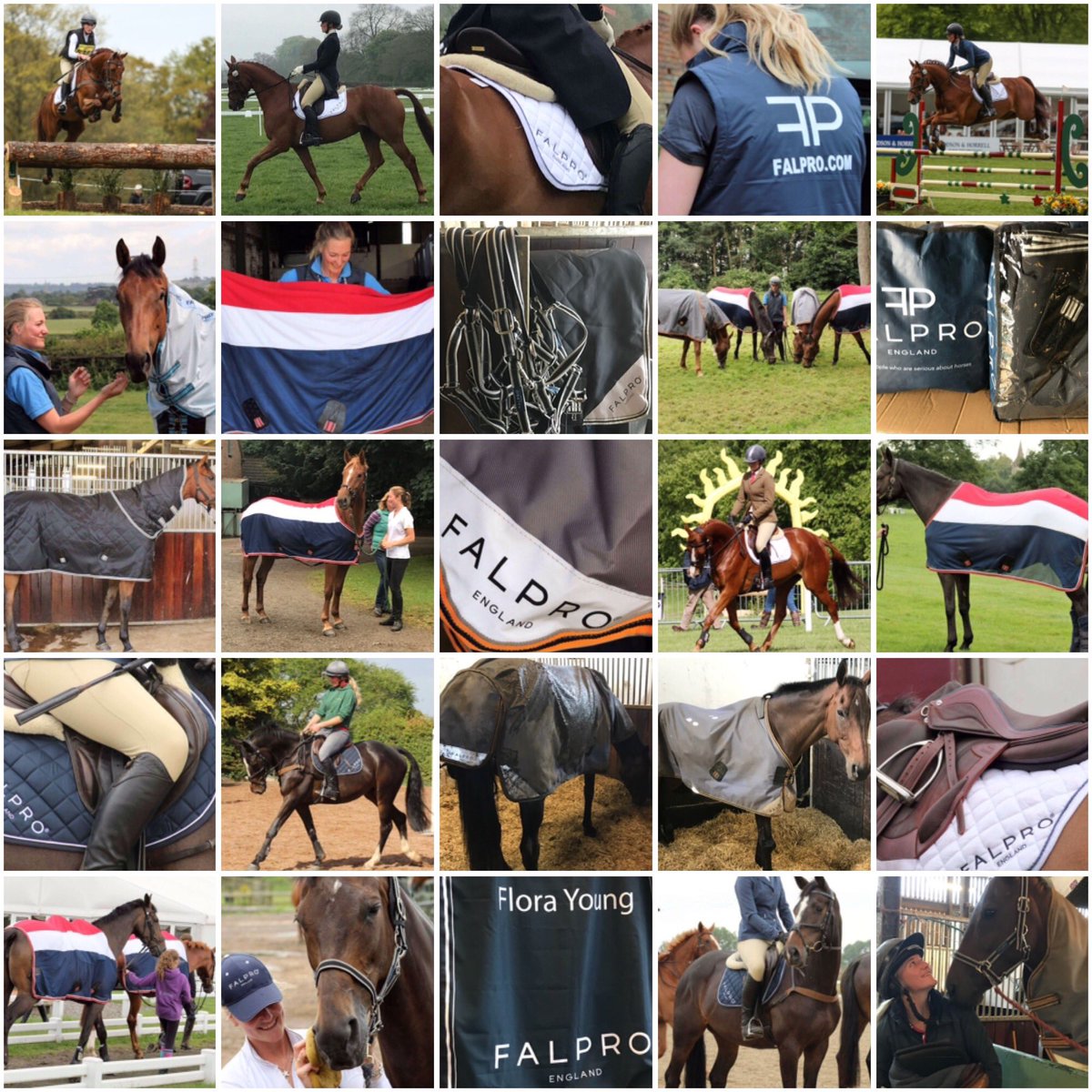 EventingFlora's tweet photo. Train, Compete, Rest, Repeat with @falpro_tweets #YoungAmbition #rugs #stablerug #turnout #coolerrug https://t.co/7Afh1HzTIw https://t.co/b4KOSJOblr