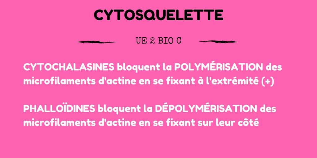 prepa1617's tweet photo. #PACES UE2-07 #bioC #cytosquelette Pas d’impasse sur ces #definitions à connaitre par 💗💜 https://t.co/A88UeVfnbN