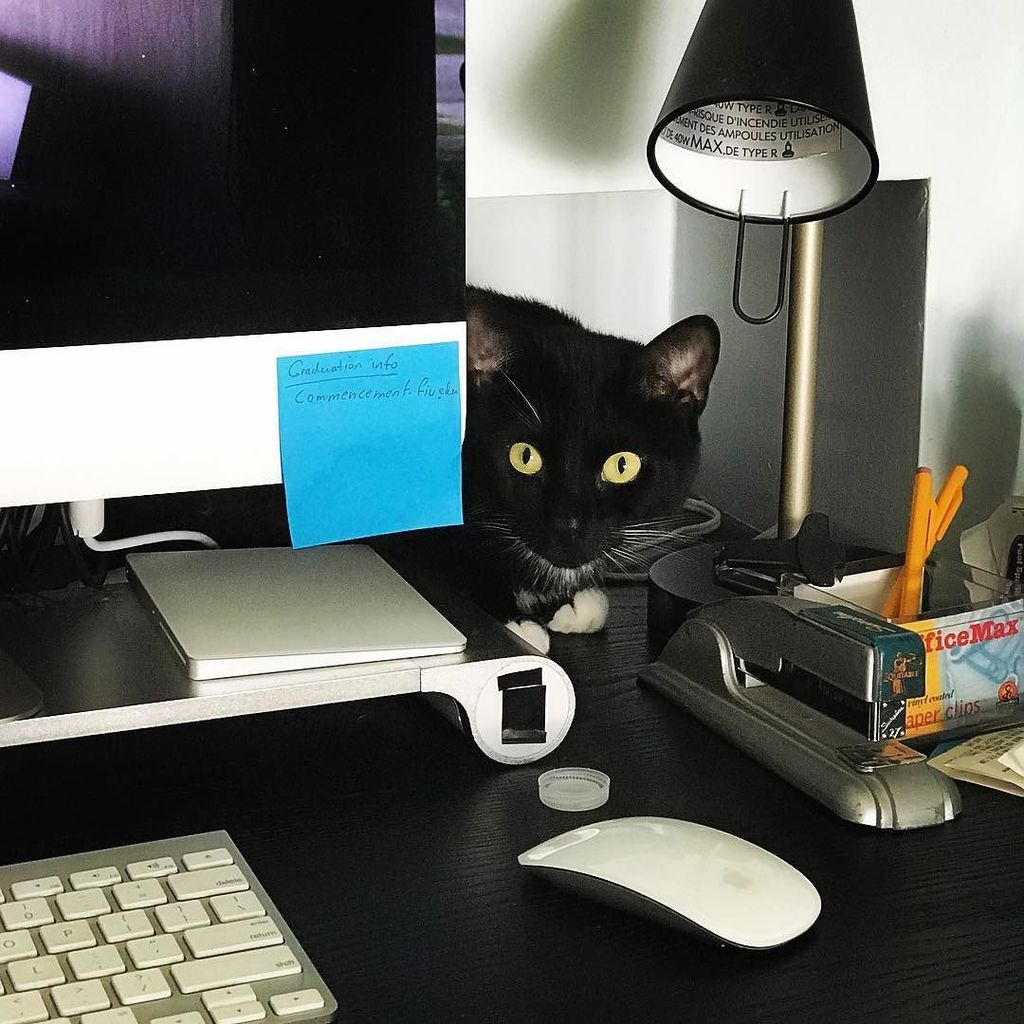 argenis's tweet photo. #ilovecomputers #seekandhide #jutjut https://t.co/iZUYrGhqrL https://t.co/Mxedhb8vTq