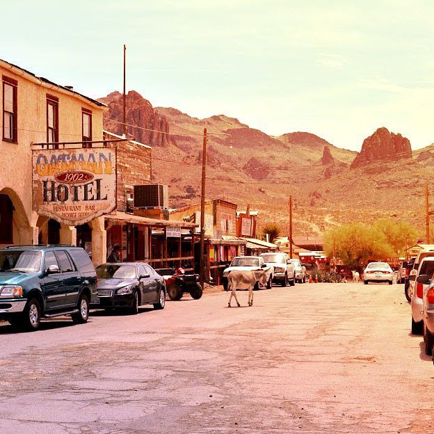 curiouswritr's tweet photo. Desert donkey town

#desert #travelphotography #travelgram #adventures #goexplore #roadtrip https://t.co/hfHgMd1b2D https://t.co/fVWQcOWICU