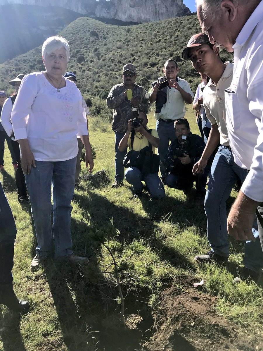 SMA Coahuila tweet media