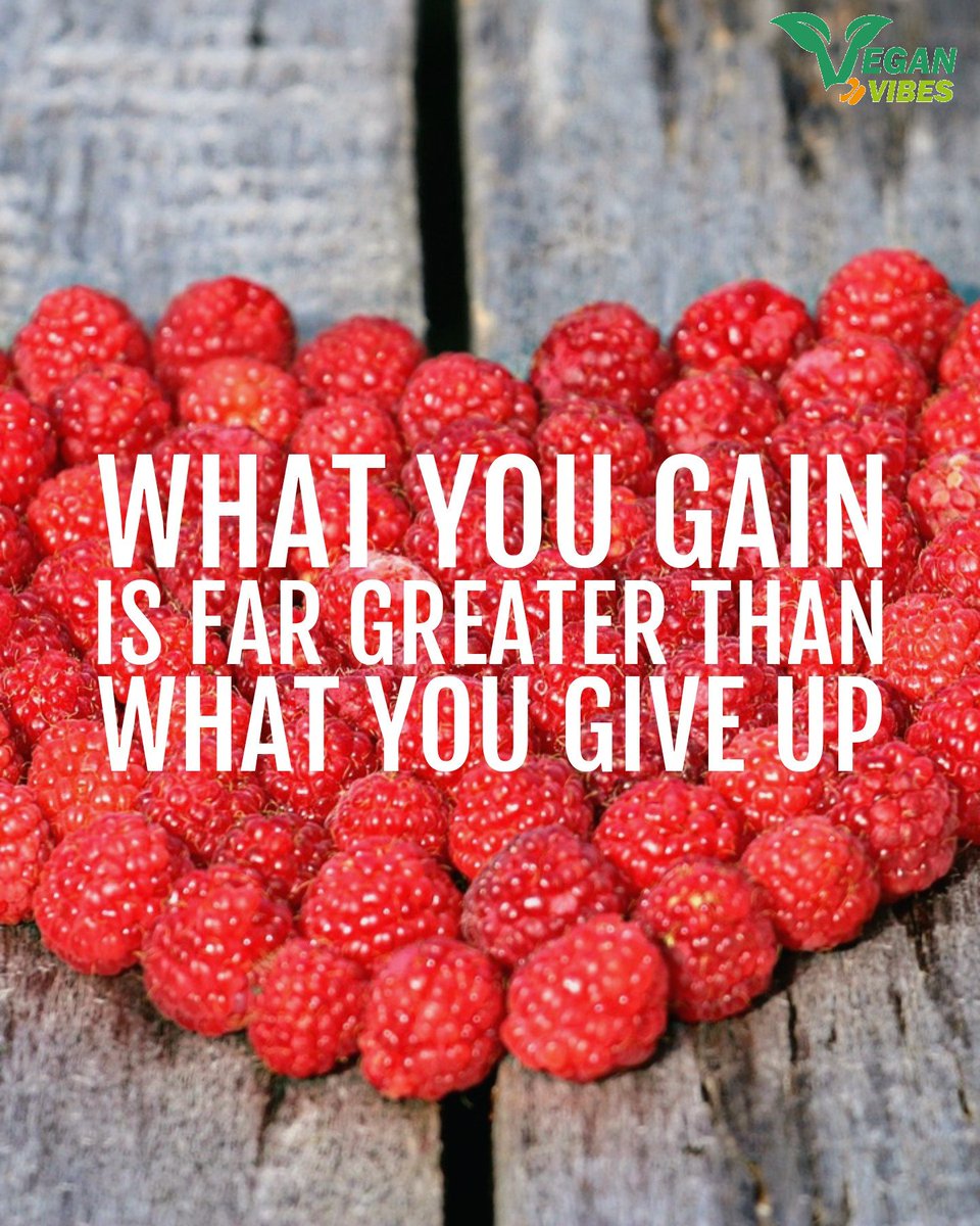 Vegan Vibes (@veganvibespage) on Twitter photo 