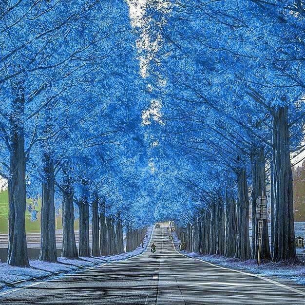 Deli60Ros's tweet photo. 💙Hay tres cosas que no deberíamos hacer: MENTIR, NO HACER TRAMPAS Y OFENDER a otro ser humano para no decepcionarlo. #FelizNoche a todos💙 https://t.co/n1vYVzmTE0