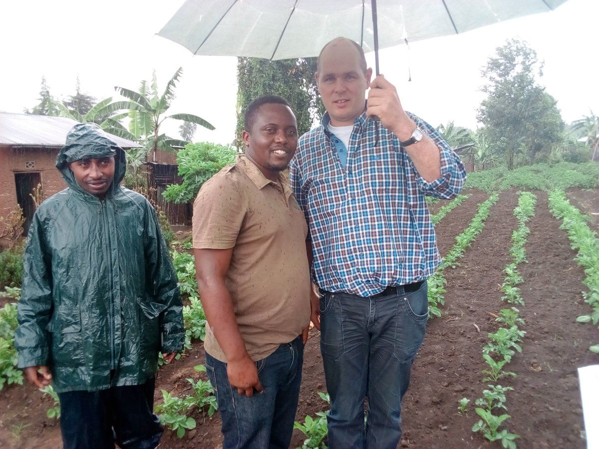 <a href="/jasperspikker/">Jasper Spikker</a> <a href="/niekthijssen/">Niek Thijssen</a> <a href="/Agriterra/">Agriterra</a> #field visit with Sander Giesen @laetitiasander #Irish potato value chain in Musanze and Burera Rda