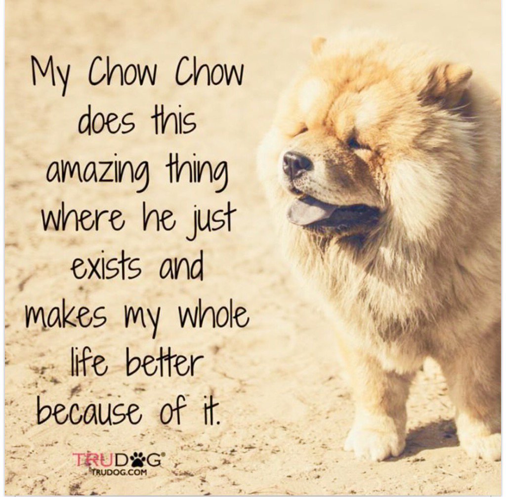 Heather L Bonney (@skibonneyspark) on Twitter photo 