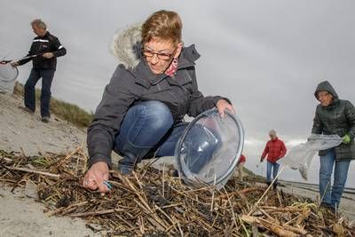 Strandjes Borssele en Baarland weer even zwerfvuilvrij pzc.nl/bevelanden/str…