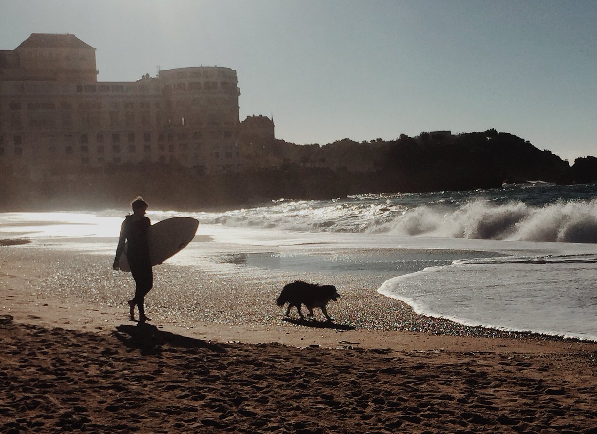 Surfer’s #bestfriend 🐕🏄🏽😍