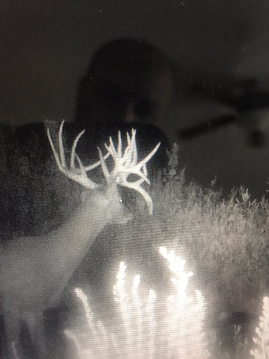 TylerOsborn27's tweet photo. A absolute giant killed in Kansas last Tuesday. 222 7/8 🏹🦌 https://t.co/IlPrxVcnJ2