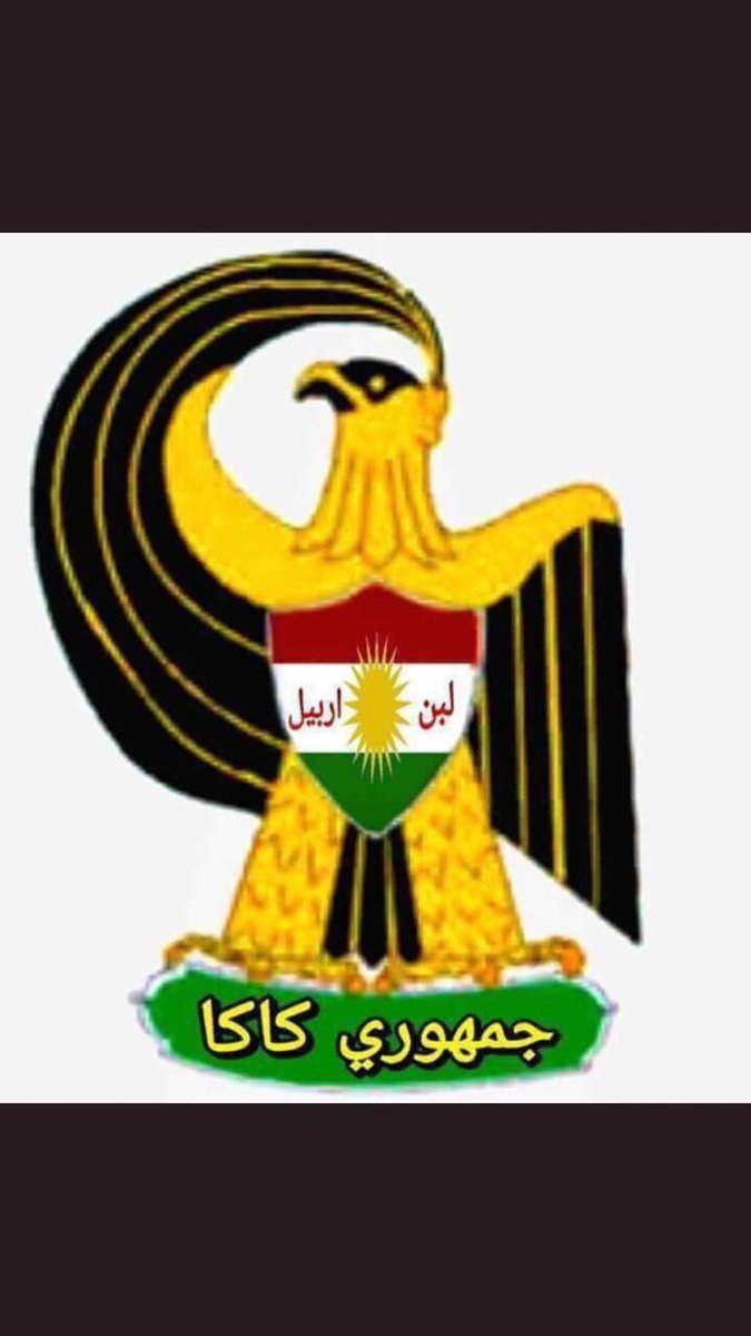 Haidar Alkazumi tweet media