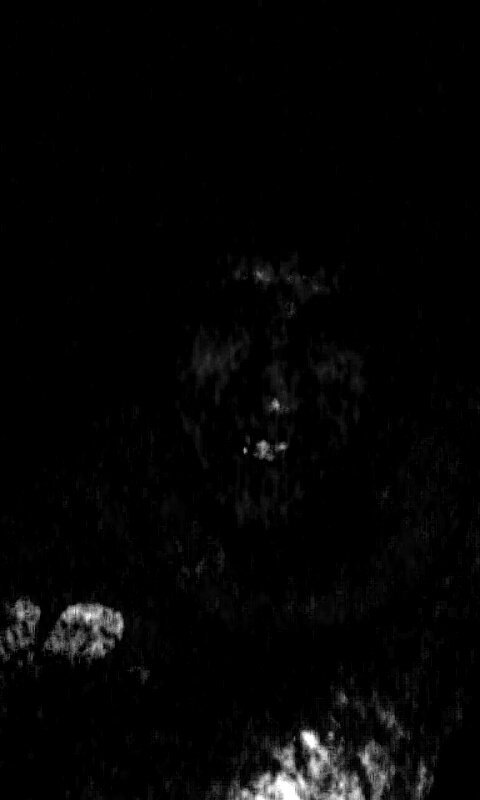 FeelZon97's tweet photo. @trippieredd 97 https://t.co/mFgo8Dglte