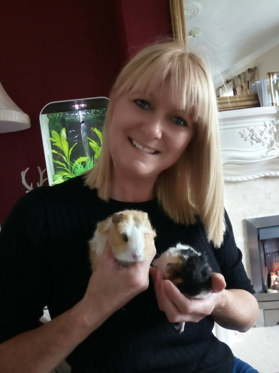 shirleyhoe1's tweet photo. Our new little fur babies 4week old Eris &amp; Alya #cuties #pigpigs #furbabies https://t.co/vS7O72vxOK