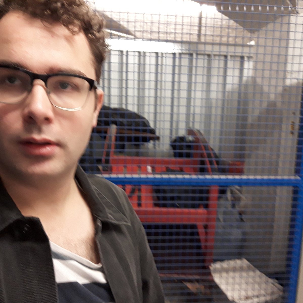 Lovely morning today at the storage unit