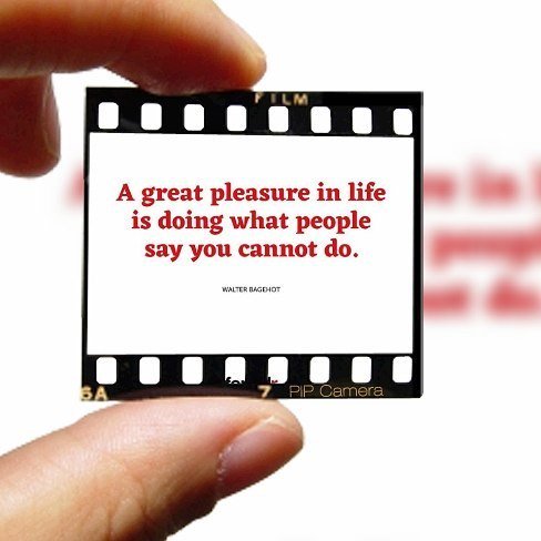 Hatare kommer hata, vinnare kommer vinna 💪