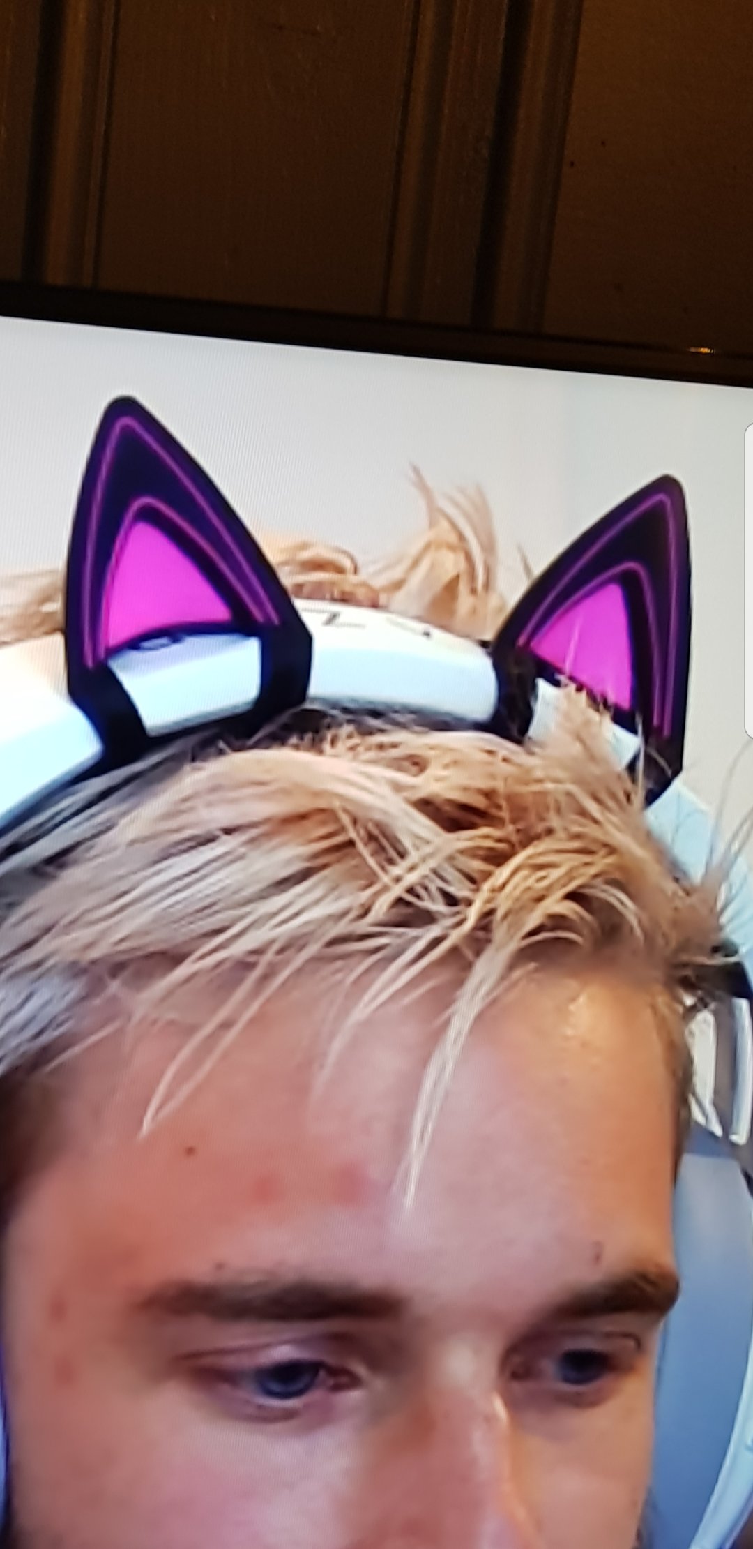 Pewdiepie cat sale