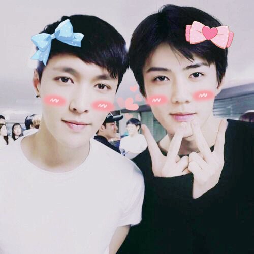 softoshbot's tweet image. ↳ #오세훈 ♡₊˚. #엑소 ࿐ྂ♡ ft #레이