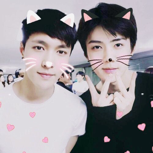 softoshbot's tweet image. ↳ #오세훈 ♡₊˚. #엑소 ࿐ྂ♡ ft #레이