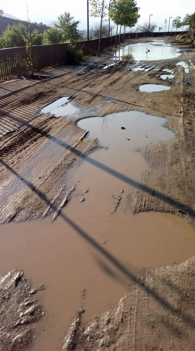 poxoleytor's tweet image. Yo veo a Gokú de pequeño en su nube voladora 👀