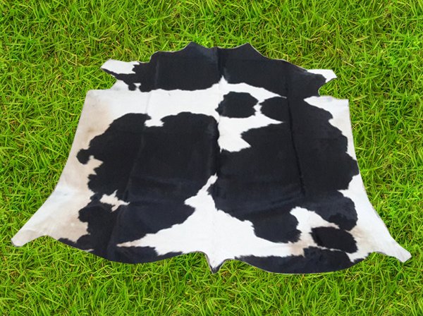 CowHideClub's tweet image. 