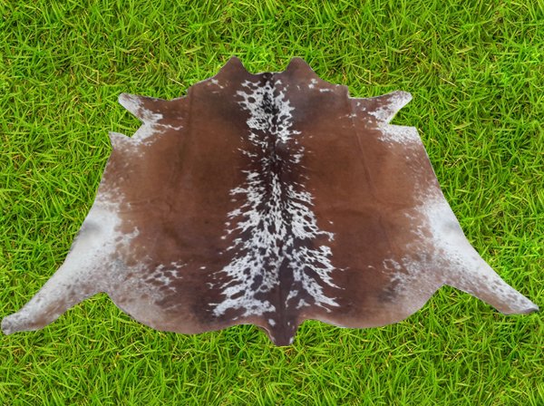 CowHideClub's tweet image. 