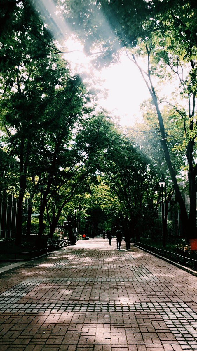 RodinHouse's tweet image. Happy Fall Break, Rodin! We hope you’re enjoying your time off🌞